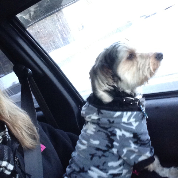 Profile Picture of Christine Baniowski (@cmbgat2024) on Poshmark