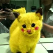 Craig Stokoe - Facebook Profile Picture of Craig Stokoe (@craig.stokoe.7) on Facebook