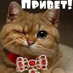Profile Picture of Андрей Мажухин (@mazhukhinandrei) on Instagram