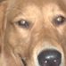Profile Picture of Penny Keefer (@penny.keefer.94) on Facebook