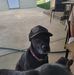 Profile Picture of Tony Morgan (@tony.morgan.752861) on Facebook
