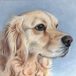 Profile Picture of Eleanor Lloyd (@eleanorlloydpetportraits) on Instagram