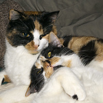 Profile Picture of Dana Placzek (@placzekd50) on Flickr