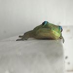 Profile Picture of Matthew Steele (@minamik3) on Instagram