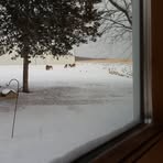 Profile Picture of Joyce Weier (@joyce.weier) on Facebook