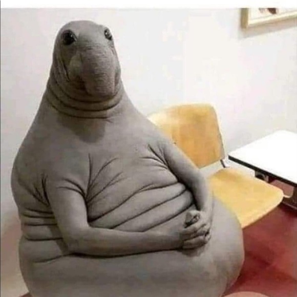 Patrice Adams - Poshmark Profile Picture of Patrice Adams (@padams35) on Poshmark