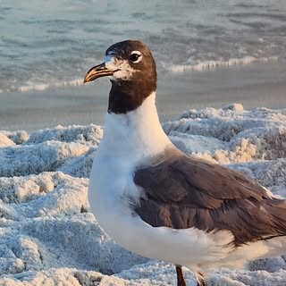 Profile Picture of Jimmy Prater (@jimmymy_boi) on Instagram