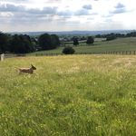 Profile Picture of Stephanie Carlin (@stephaniecarlin__) on Instagram