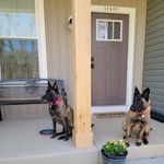 Profile Picture of Kimberly Wolfe (@kimberly.wolfe1000) on Instagram