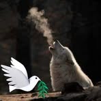 Profile Picture of Demetrios Pashos (@demetrios.pashos) on Facebook