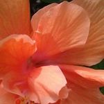 Profile Picture of Heather H Simmonds (@heather.simmonds.927) on Instagram
