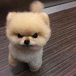 Profile Picture of Napakorn K. 🌈☁️☀️✨ (@ingfahh.h) on Instagram