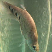 Profile Picture of Connor Tierney (@connortierney9450) on Youtube