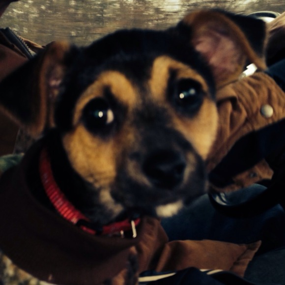 Profile Picture of Julia Lunn (@vanjule) on Poshmark