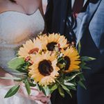 John And Bethany Rodriguez - Instagram Profile Picture of John And Bethany Rodriguez (@jandbphotographyky) on Instagram