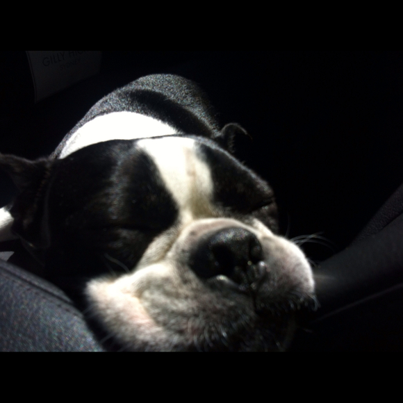 Profile Picture of Kelli Odonnell (@kelli87o) on Poshmark