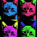 Profile Picture of andrew thorsen (@andrew.thorsen) on Instagram