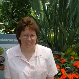 Profile Picture of Sue Malazita (@sue.malazita.1) on Facebook