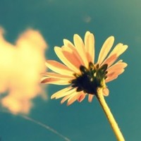 Profile Picture of Bella Iacono (@bella-iacono) on Quora