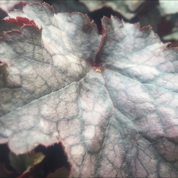 Profile Picture of Logan Michaels (@logan_michaels) on Poshmark