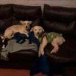 Rocio Pilar Alvarado - Instagram Profile Picture of Rocio Pilar Alvarado (@rad_pilar) on Instagram