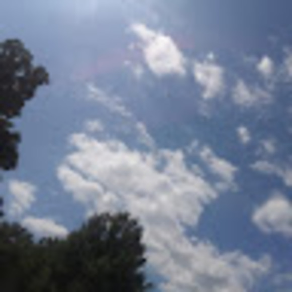 Profile Picture of Rissa Michienzi (@rissamichienzi) on Poshmark