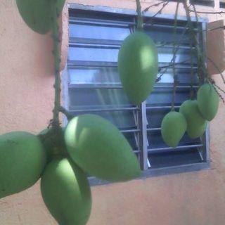 Profile Picture of Alvin Strouss (@Alvin-Strouss) on Facebook