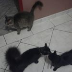 Profile Picture of boyer marianne (@alexandra.boyer.1968) on Instagram