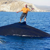 Profile Picture of Roger Bentler (@rbentler) on Youtube