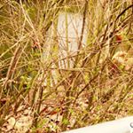 Profile Picture of Colin Sommerfeld (@coco_like_c) on Instagram