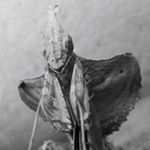 Profile Picture of Adam Chudy (@magister4000) on Instagram