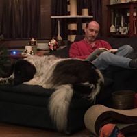 Profile Picture of Tim Heffernan (@heffernan1402) on Pinterest