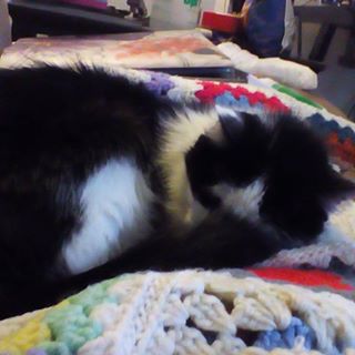 Profile Picture of Michaela Bryant (@Michaela-Bryant) on Facebook