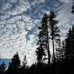 Profile Picture of Tim Taylor (@elguy619) on Instagram