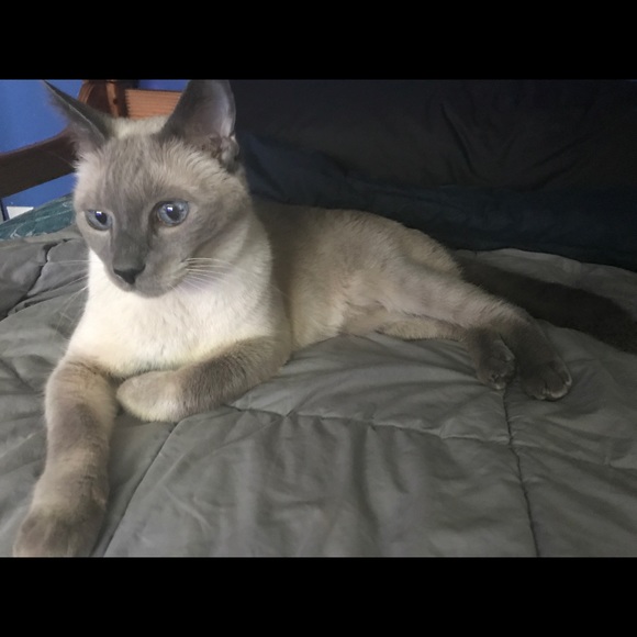 Profile Picture of Martin Oleksak (@abeautifulsinxx) on Poshmark