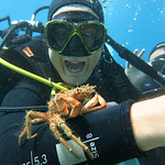 Profile Picture of Alina Danet (@openwatercroatia) on Flickr