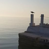 Profile Picture of Michael Pinard (@michaelp7897) on Pinterest