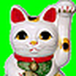 Profile Picture of Sharon Genung (@neko mom) on Flickr