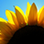 Profile Picture of Rebecca Schneider (@rlschneider) on Flickr