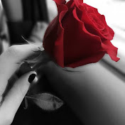 Profile Picture of Nehad Ahmed (@nehadahmed1088) on Youtube