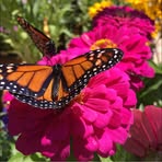 Profile Picture of Naomi McDaniel (@Naomi-McDaniel) on Facebook