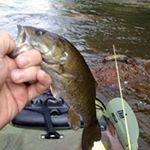 Profile Picture of Chris Postell (@chrisspostell) on Instagram