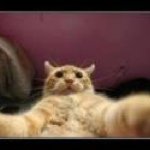 Profile Picture of Alex Burleigh (@burleighbloke) on Instagram