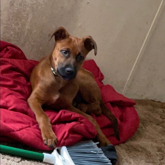 Profile Picture of Haley Parrott (@haleyparrott21) on Poshmark