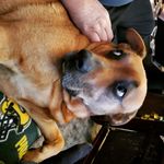 Profile Picture of Janet Gilsdorf-Mankowski (@jmankow60) on Instagram