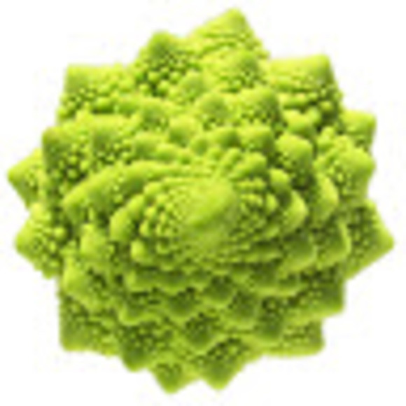 Profile Picture of Fractal Broccoli (@avivachaya) on Poshmark