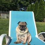 Profile Picture of Lisa Broccoletti (@lisaannbrocc) on Instagram