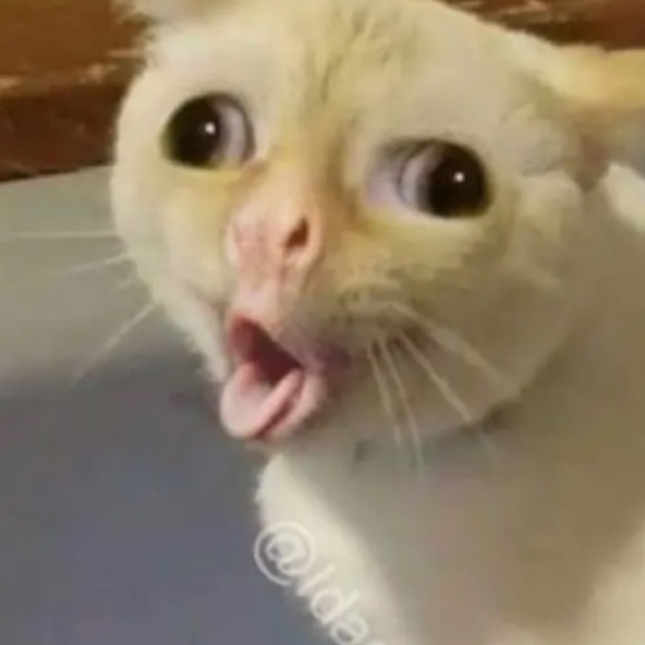 Profile Picture of Sam Chappelle (@sam1527) on Poshmark