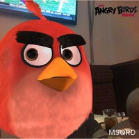 Profile Picture of Steve Nishimura (@steve-nishimura-2) on Quora