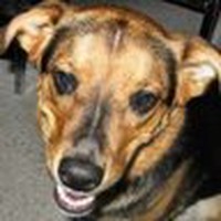 Profile Picture of Denise Capps (@denise-capps-4) on Quora